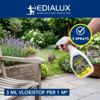 EDX-1114007894