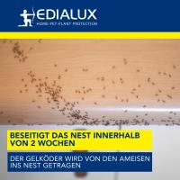 EDX-1103007898
