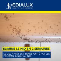EDX-1103007898