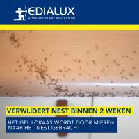 EDX-1103007898