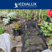 EDX-TUINNET10X10